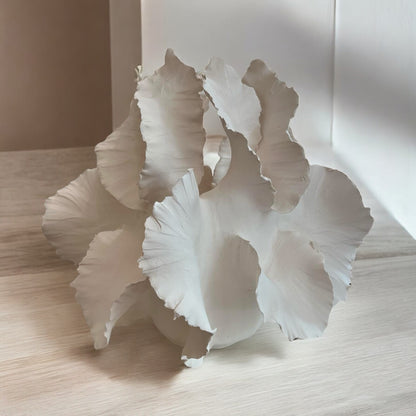 Dobbelt koralis skulptur grande