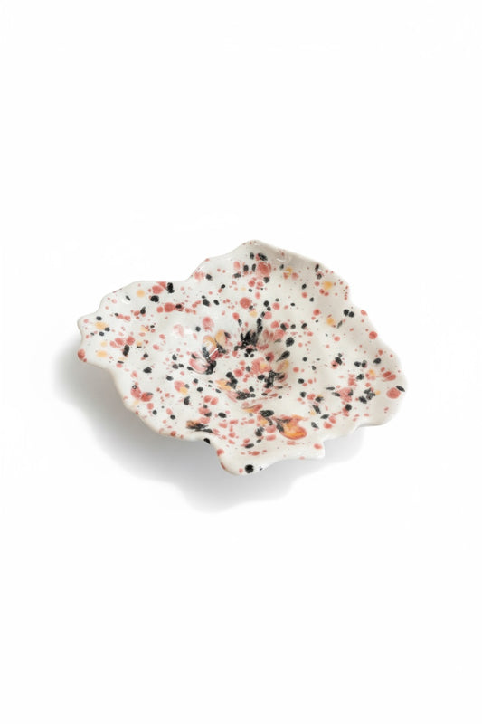 Fungus fad - poppyseed
