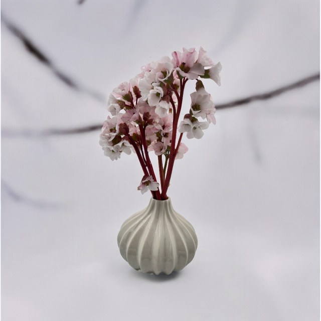 🌿 Mød Vifte Vasen 🌿 Træd ind i en verden af håndlavet charme med vores Vifte vase. Denne smukke vase bringer en følelse af ro og æstetik ind i ethvert hjem med sit origami-inspirerede mønster og den blanke glasur. Den er 9 cm høj og 12 cm i diameter, ideel til små, friske blomster eller en enkel gren. 🌸 Vifte vasen er mere end bare en vase; den er et håndværk, skabt med omsorg og øje for detaljen, som gør hver vase unik....

https://galleri-mindedahl.dk/product/vifte-vasen/